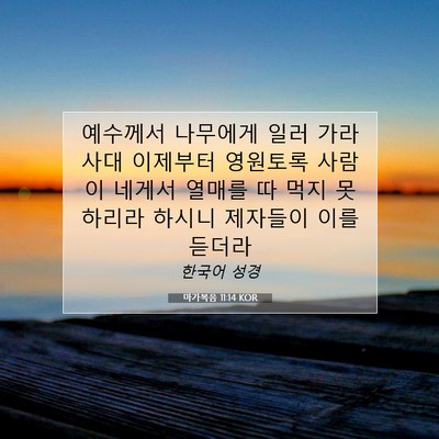 Picture 07 - 마가복음 11:14 KOR - 예수께서 나무에게 일러 가라사대 - Bible Verse Picture