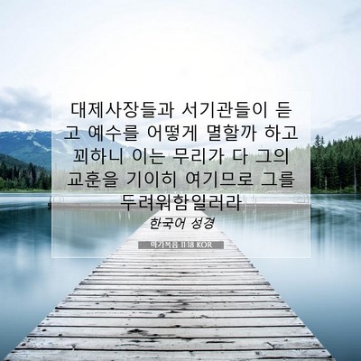 Picture 07 - 마가복음 11:18 KOR - 대제사장들과 서기관들이 듣고 - Bible Verse Picture
