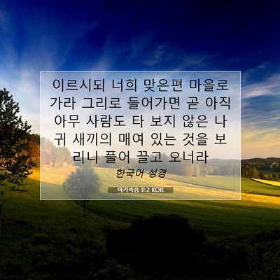 Picture 07 - 마가복음 11:2 KOR - 이르시되 너희 맞은편 마을로 가라 - Bible Verse Picture