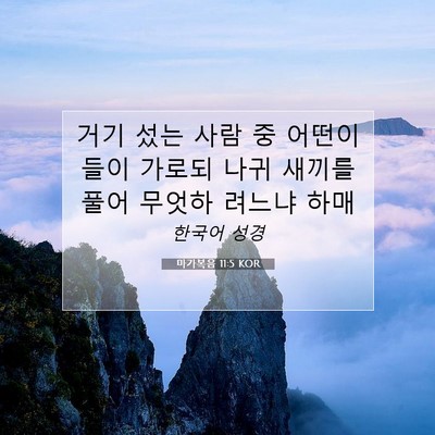 Picture 07 - 마가복음 11:5 KOR - 거기 섰는 사람 중 어떤이들이 - Bible Verse Picture