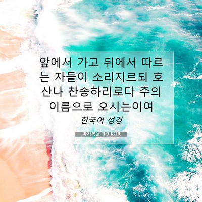 Picture 07 - 마가복음 11:9 KOR - 앞에서 가고 뒤에서 따르는 자들이 - Bible Verse Picture