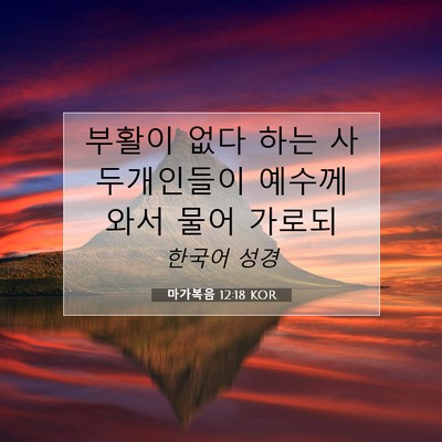 Picture 07 - 마가복음 12:18 KOR - 부활이 없다 하는 사두개인들이 - Bible Verse Picture