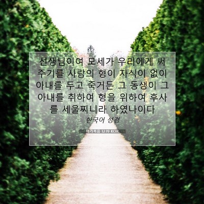 Picture 07 - 마가복음 12:19 KOR - 선생님이여 모세가 우리에게 써 - Bible Verse Picture