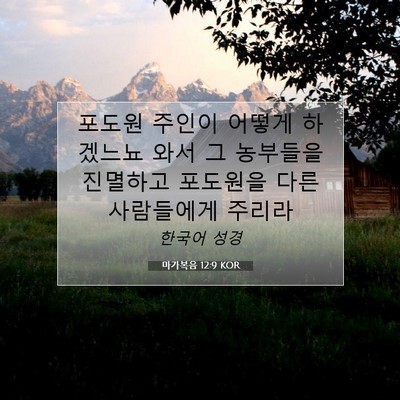 Picture 07 - 마가복음 12:9 KOR - 포도원 주인이 어떻게 하겠느뇨 와서 - Bible Verse Picture