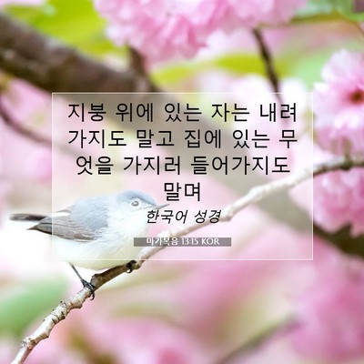 Picture 07 - 마가복음 13:15 KOR - 지붕 위에 있는 자는 내려가지도 - Bible Verse Picture
