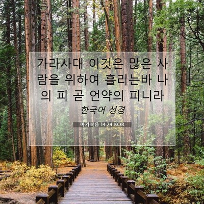 Picture 07 - 마가복음 14:24 KOR - 가라사대 이것은 많은 사람을 위하여 - Bible Verse Picture