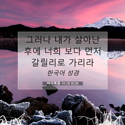 Picture 07 - 마가복음 14:28 KOR - 그러나 내가 살아난 후에 너희 보다 - Bible Verse Picture