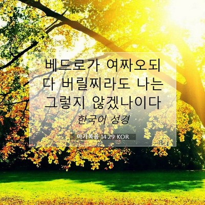 Picture 07 - 마가복음 14:29 KOR - 베드로가 여짜오되 다 버릴찌라도 - Bible Verse Picture