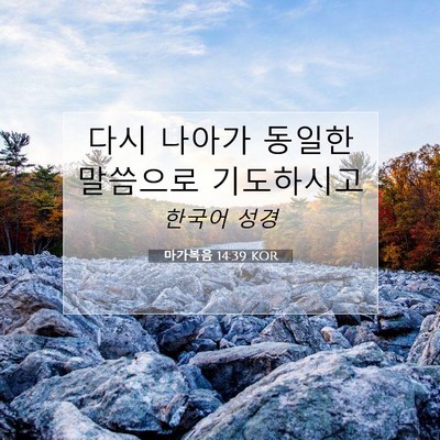 Picture 07 - 마가복음 14:39 KOR - 다시 나아가 동일한 말씀으로 - Bible Verse Picture