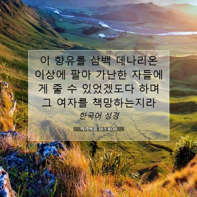 Picture 07 - 마가복음 14:5 KOR - 이 향유를 삼백 데나리온 이상에 - Bible Verse Picture
