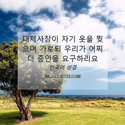 Picture 07 - 마가복음 14:63 KOR - 대제사장이 자기 옷을 찢으며 가로되 - Bible Verse Picture