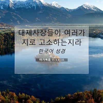 Picture 07 - 마가복음 15:3 KOR - 대제사장들이 여러가지로 - Bible Verse Picture