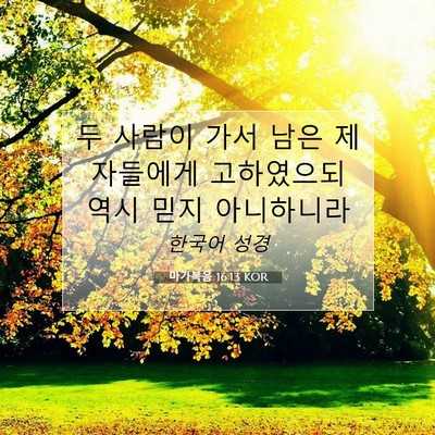 Picture 07 - 마가복음 16:13 KOR - 두 사람이 가서 남은 제자들에게 - Bible Verse Picture