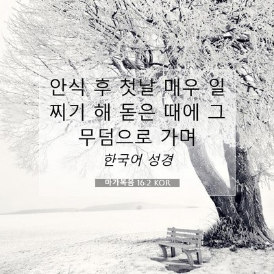 Picture 07 - 마가복음 16:2 KOR - 안식 후 첫날 매우 일찌기 해 돋은 - Bible Verse Picture