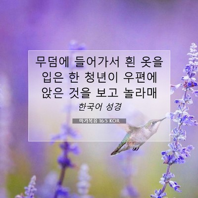 Picture 07 - 마가복음 16:5 KOR - 무덤에 들어가서 흰 옷을 입은 한 - Bible Verse Picture