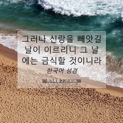 Picture 07 - 마가복음 2:20 KOR - 그러나 신랑을 빼앗길 날이 이르리니 - Bible Verse Picture