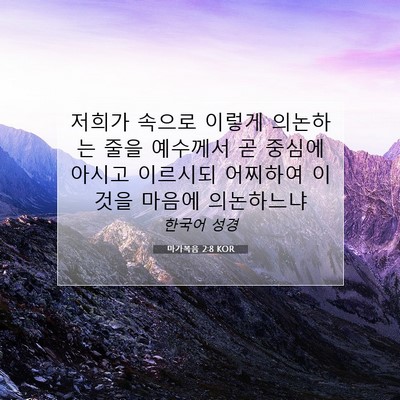 Picture 07 - 마가복음 2:8 KOR - 저희가 속으로 이렇게 의논하는 줄을 - Bible Verse Picture