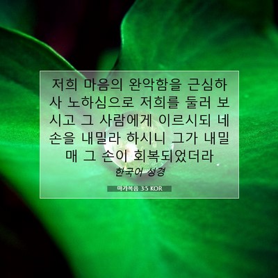Picture 07 - 마가복음 3:5 KOR - 저희 마음의 완악함을 근심하사 - Bible Verse Picture