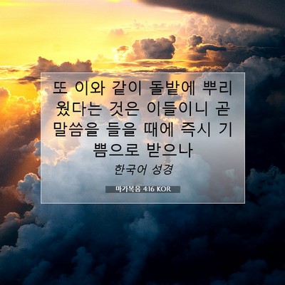 Picture 07 - 마가복음 4:16 KOR - 또 이와 같이 돌밭에 뿌리웠다는 - Bible Verse Picture