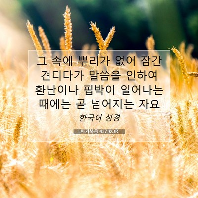 Picture 07 - 마가복음 4:17 KOR - 그 속에 뿌리가 없어 잠간 견디다가 - Bible Verse Picture