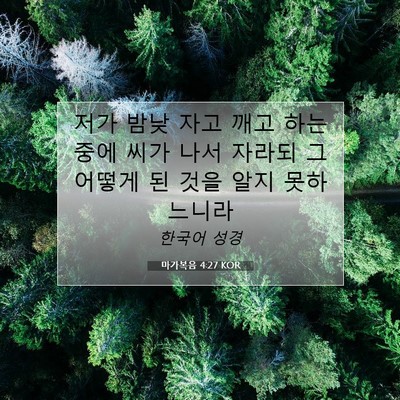 Picture 07 - 마가복음 4:27 KOR - 저가 밤낮 자고 깨고 하는 중에 씨가 - Bible Verse Picture