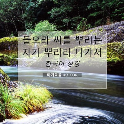 Picture 07 - 마가복음 4:3 KOR - 들으라 씨를 뿌리는 자가 뿌리러 - Bible Verse Picture