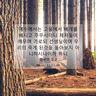 Picture 07 - 마가복음 4:38 KOR - 예수께서는 고물에서 베개를 베시고 - Bible Verse Picture