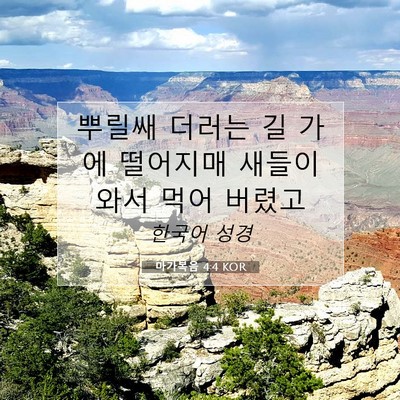 Picture 07 - 마가복음 4:4 KOR - 뿌릴쌔 더러는 길 가에 떨어지매 - Bible Verse Picture