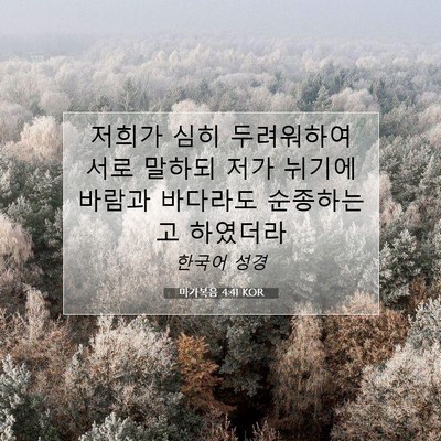 Picture 07 - 마가복음 4:41 KOR - 저희가 심히 두려워하여 서로 말하되 - Bible Verse Picture