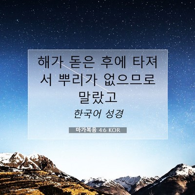 Picture 07 - 마가복음 4:6 KOR - 해가 돋은 후에 타져서 뿌리가 - Bible Verse Picture