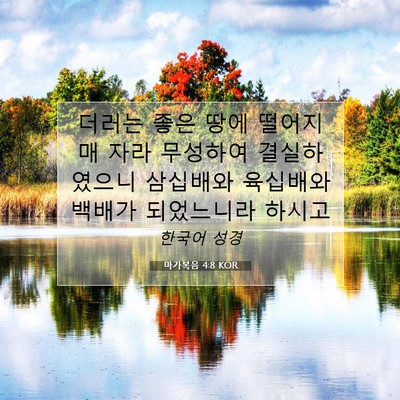 Picture 07 - 마가복음 4:8 KOR - 더러는 좋은 땅에 떨어지매 자라 - Bible Verse Picture