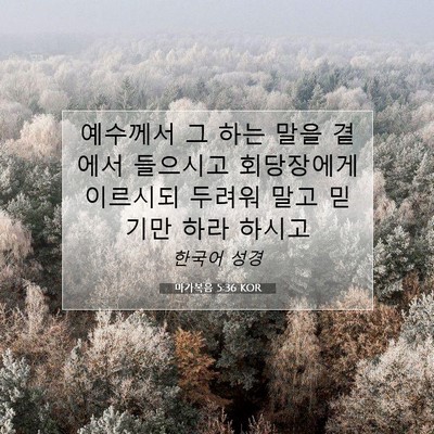 Picture 07 - 마가복음 5:36 KOR - 예수께서 그 하는 말을 곁에서 - Bible Verse Picture