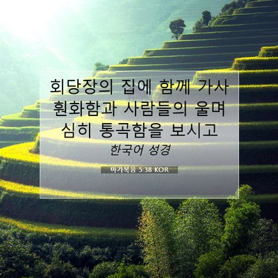 Picture 07 - 마가복음 5:38 KOR - 회당장의 집에 함께 가사 훤화함과 - Bible Verse Picture