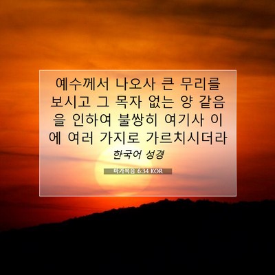 Picture 07 - 마가복음 6:34 KOR - 예수께서 나오사 큰 무리를 보시고 - Bible Verse Picture