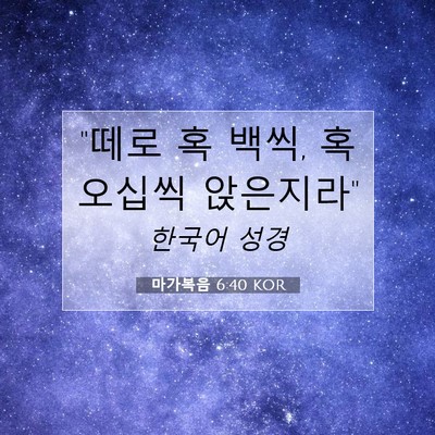 Picture 07 - 마가복음 6:40 KOR - 