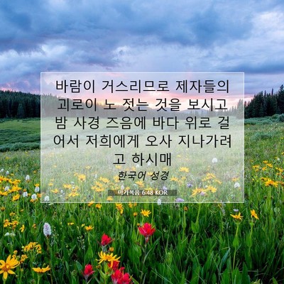 Picture 07 - 마가복음 6:48 KOR - 바람이 거스리므로 제자들의 괴로이 - Bible Verse Picture