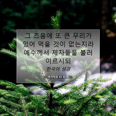 Picture 07 - 마가복음 8:1 KOR - 그 즈음에 또 큰 무리가 있어 먹을 - Bible Verse Picture