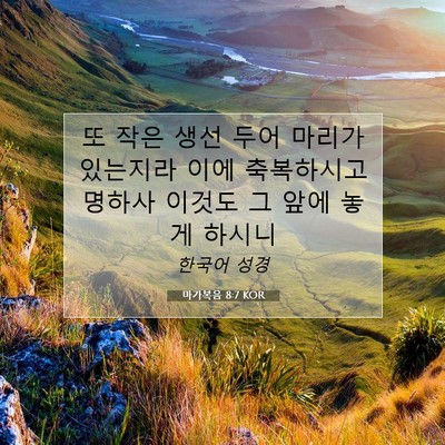Picture 07 - 마가복음 8:7 KOR - 또 작은 생선 두어 마리가 있는지라 - Bible Verse Picture