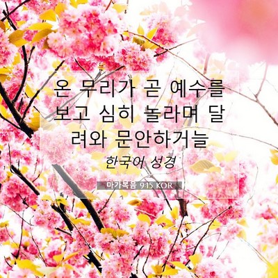 Picture 07 - 마가복음 9:15 KOR - 온 무리가 곧 예수를 보고 심히 - Bible Verse Picture