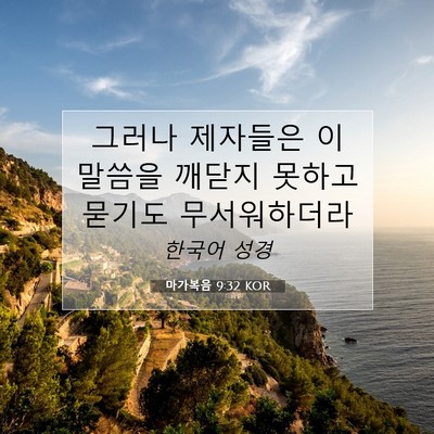 Picture 07 - 마가복음 9:32 KOR - 그러나 제자들은 이 말씀을 깨닫지 - Bible Verse Picture
