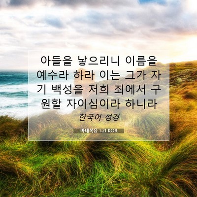 Picture 07 - 마태복음 1:21 KOR - 아들을 낳으리니 이름을 예수라 하라 - Bible Verse Picture