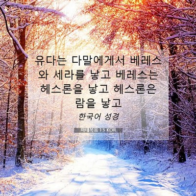 Picture 07 - 마태복음 1:3 KOR - 유다는 다말에게서 베레스와 세라를 - Bible Verse Picture