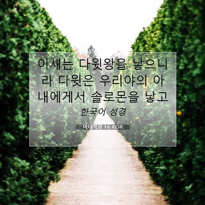 Picture 07 - 마태복음 1:6 KOR - 이새는 다윗왕을 낳으니라 다윗은 - Bible Verse Picture