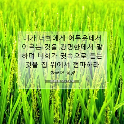 Picture 07 - 마태복음 10:27 KOR - 내가 너희에게 어두운데서 이르는 - Bible Verse Picture