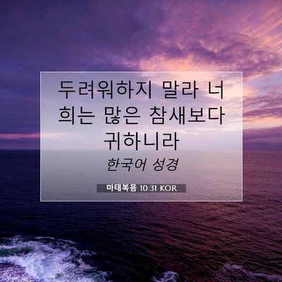 Picture 07 - 마태복음 10:31 KOR - 두려워하지 말라 너희는 많은 - Bible Verse Picture