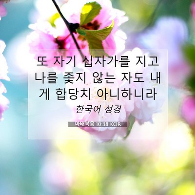 Picture 07 - 마태복음 10:38 KOR - 또 자기 십자가를 지고 나를 좇지 - Bible Verse Picture