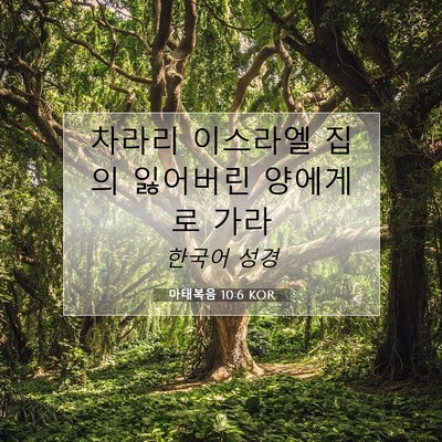 Picture 07 - 마태복음 10:6 KOR - 차라리 이스라엘 집의 잃어버린 - Bible Verse Picture
