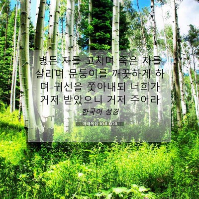 Picture 07 - 마태복음 10:8 KOR - 병든 자를 고치며 죽은 자를 살리며 - Bible Verse Picture
