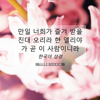 Picture 07 - 마태복음 11:14 KOR - 만일 너희가 즐겨 받을진대 오리라 - Bible Verse Picture