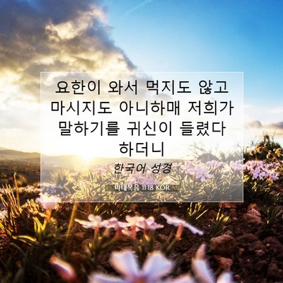 Picture 07 - 마태복음 11:18 KOR - 요한이 와서 먹지도 않고 마시지도 - Bible Verse Picture
